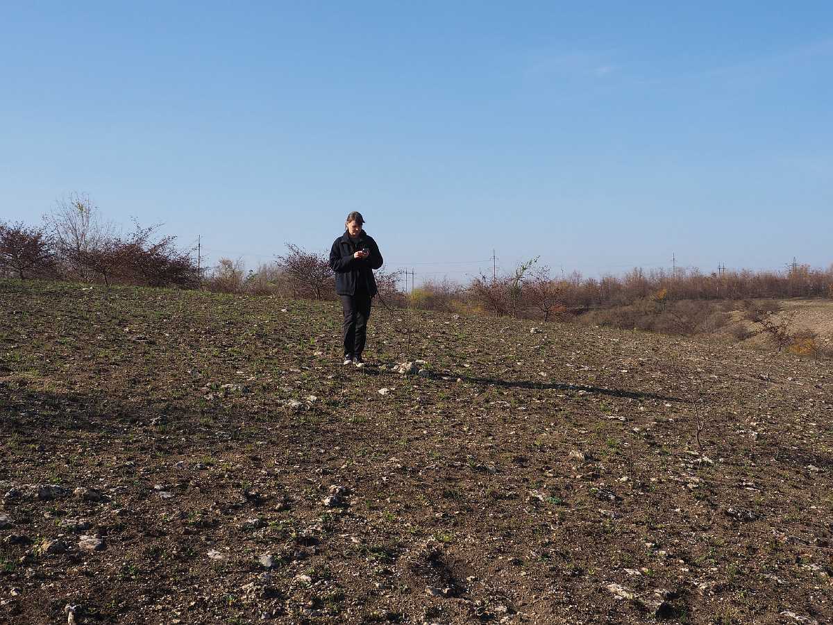 Національний природний парк «Кам’янська Січ» після пожеж