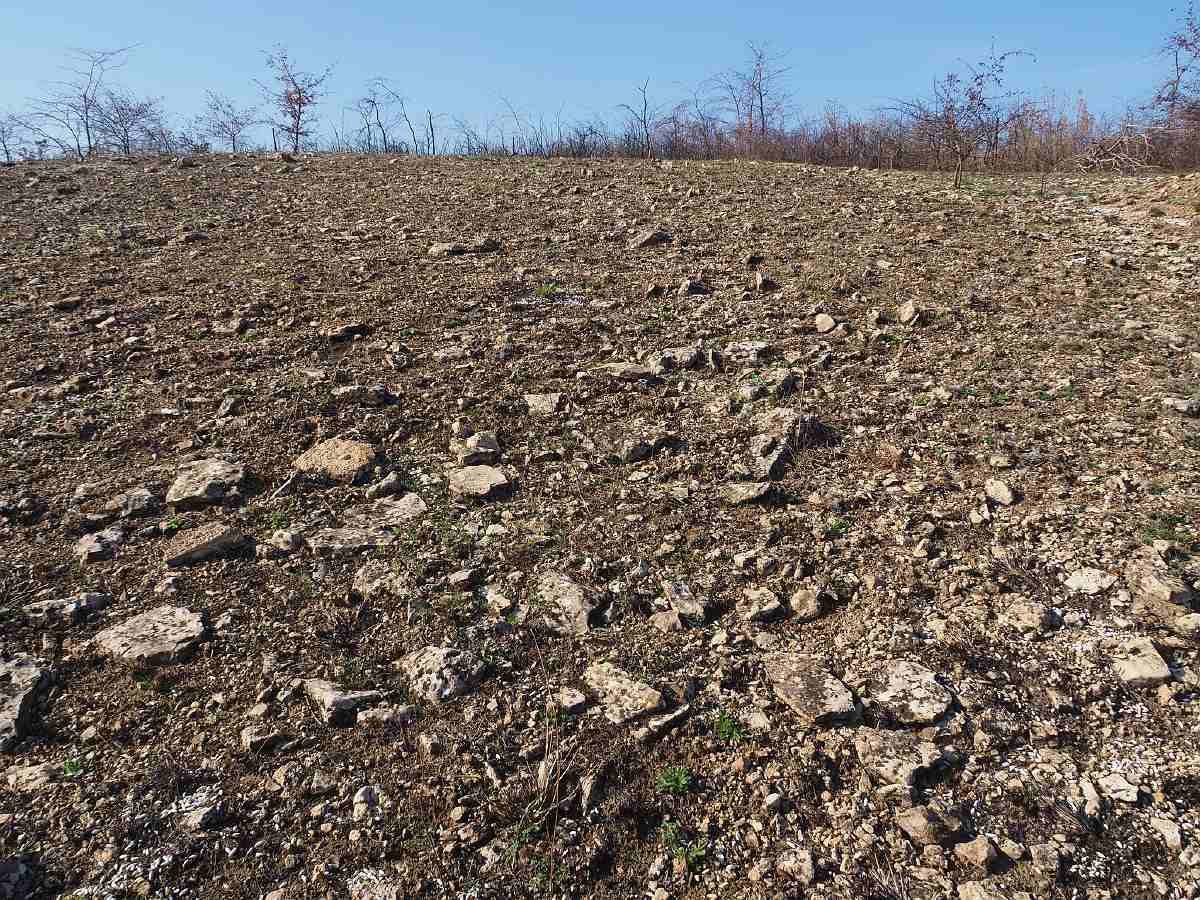 Національний природний парк «Кам’янська Січ» після пожеж