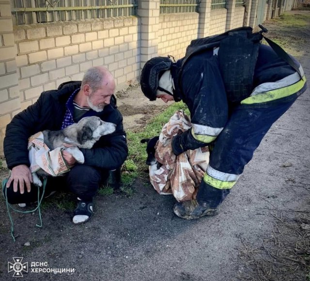 Від російських атак страждають не тільки люди. Вогнеборці врятували двох собак з-під завалів