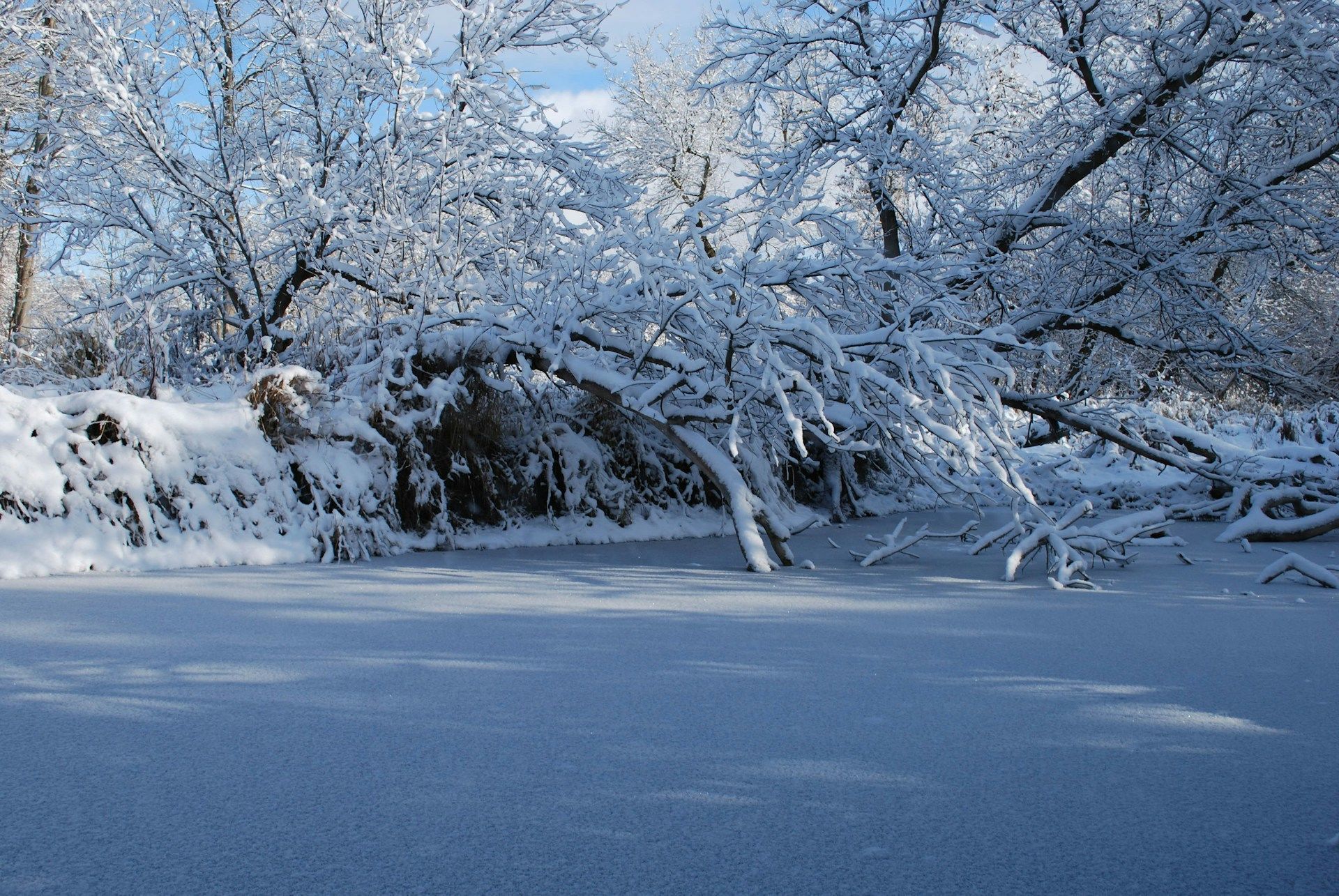 Яке сьогодні, 27 січня, свято – все про цей день, яке церковне свято, що не можна робити