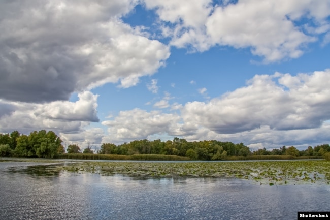 Каховське водосховище, Запорізька область, архівне фото – жовтень 2011 року