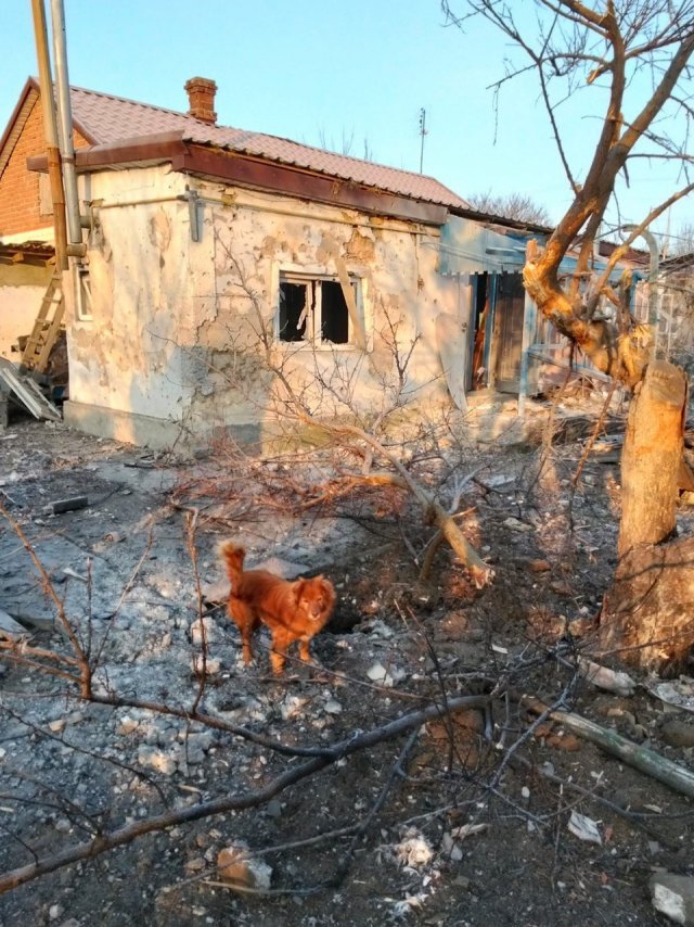 Наслідки російської атаки на Шляхове