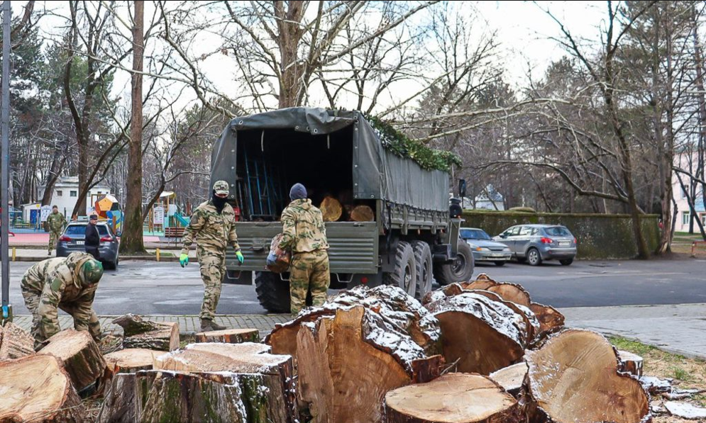 Росіяни вирубують парки в окупованому Криму задля обігріву своїх військових на Херсонщині