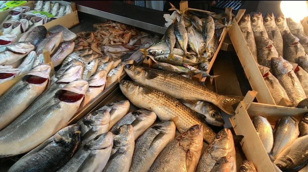 З Азовського моря окупанти виловлюють навіть дрібну рибу